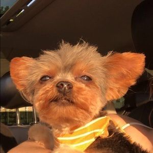 Meet your Posher, Helena